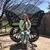 Krystina Belavek's profile image