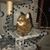 Jennie Lee Gaeta Packer's profile image