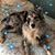 Sherry Dixon's profile image
