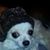 TweetyDee Valesc's profile image