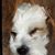 Deixo EmBranco's profile image