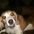 Jody Wright's profile image
