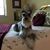 Debi Pierce's profile image