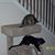 Sherri L. McWilliams's profile image