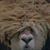 Jason Salsbery-Hill's profile image