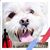 Sunni Arcand's profile image