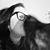 Nicole Bishop's profile image