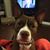 Cassandra Netherton's profile image