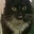Kendall Thomas's profile image
