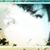 Michele Dussault's profile image