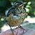 Luz Schick's profile image