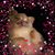 Jennifer Flournoy Marcum's profile image
