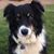 Val Vinson's profile image