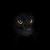 Debra D Magoon's profile image
