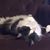 Tammy Baumgartner's profile image