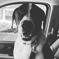 Natalie Taylor's profile image