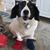Donna Hale's profile image