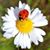 Charlene Reynolds's profile image