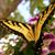 Deb Werth-Chaney's profile image