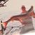 Scott Bergman's profile image