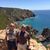 Peter Gyorgy's profile image