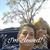 Dee Secor Padilla's profile image