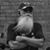 Stephen Hadle's profile image