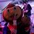 Malinda Paxton's profile image