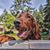 Heather Andreini's profile image