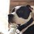 Spike Greisser's profile image