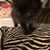 Cherie Batsel's profile image