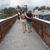 Kristine Cartwright Garland's profile image