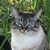 Vikki Dedman's profile image