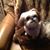 Judy Speicher's profile image