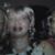 Yvonne Thompson's profile image