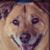 Annie James's profile image