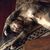 Patty Atkins Williamson's profile image