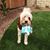 Missy Anderson's profile image