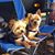 Cheryl Taylor McBrayer's profile image