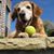 Debra Jean Smith's profile image