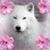 Loretta Boyd's profile image