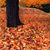 Barry Salminen's profile image