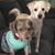 Debra Lopes's profile image