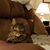 Annita Schneider Henry's profile image