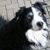 Udo Stepke's profile image