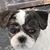 Joann Bailey's profile image