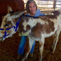 Nancy Turner Jones's profile image