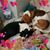 Dorie Lee Adams Andrews's profile image