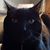 Brian Doak's profile image