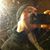 Colin V Giles's profile image